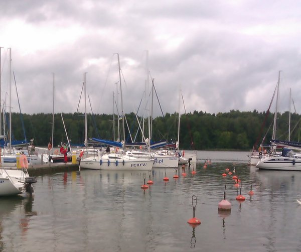 IMAG0295.jpg