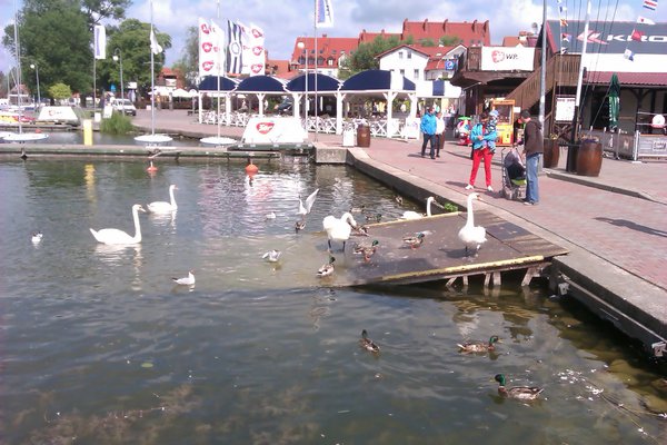 IMAG0294.jpg