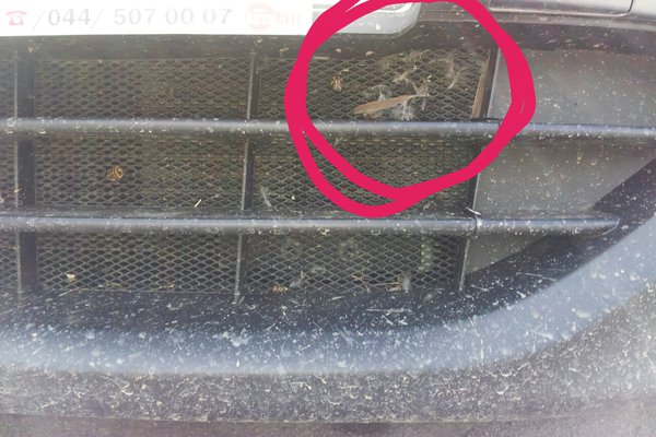 PicsArt_1372749524718.jpg (866.78 KiB) Просмотров: 9355 PicsArt_1372749524718.jpg