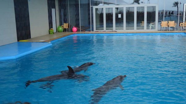 немо3.jpg (64.97 KiB) Просмотров: 7042 немо3.jpg