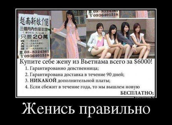 83_n[1].jpg