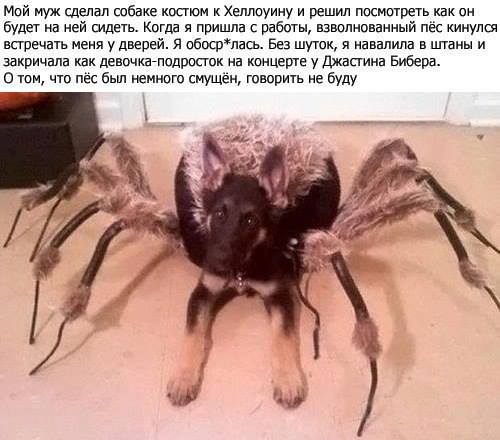204[1].jpg
