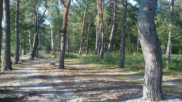 DSC_0962.JPG