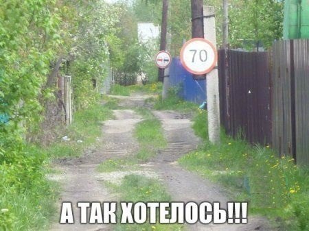 70[1].jpg