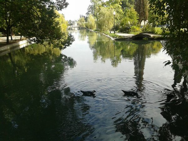 20130908_142854.jpg