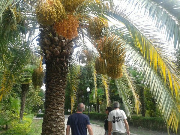 20130908_143632.jpg