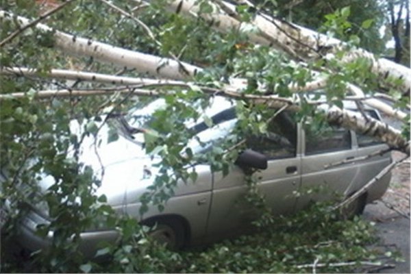 640572.jpg