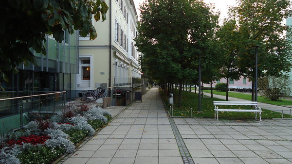 Рогашка2.JPG