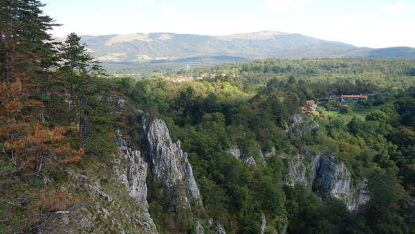 DSC04195_новый размер.JPG (187.42 KiB) Просмотров: 3181 DSC04195_новый размер.JPG