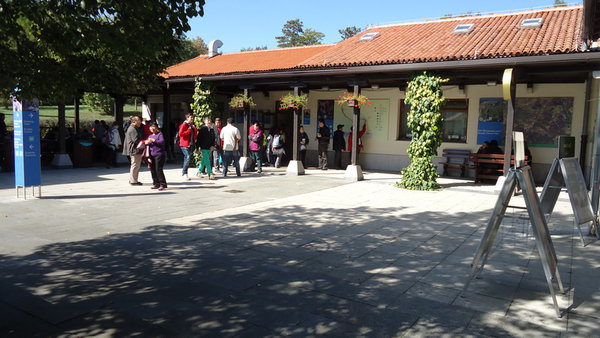 DSC04209_новый размер.JPG (178.22 KiB) Просмотров: 3181 DSC04209_новый размер.JPG