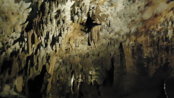 DSC04215_новый размер.JPG (154.76 KiB) Просмотров: 3181 DSC04215_новый размер.JPG