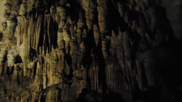 DSC04217_новый размер.JPG (134.6 KiB) Просмотров: 3181 DSC04217_новый размер.JPG