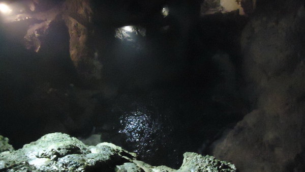 DSC04236_новый размер.JPG (123.06 KiB) Просмотров: 3181 DSC04236_новый размер.JPG