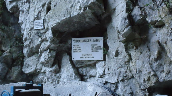 DSC04262_новый размер.JPG (188.33 KiB) Просмотров: 3181 DSC04262_новый размер.JPG