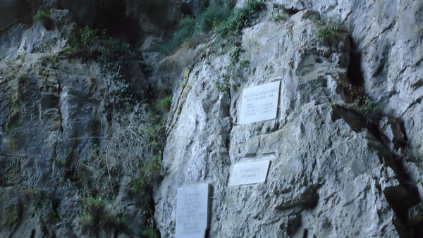 DSC04264_новый размер.JPG (191.62 KiB) Просмотров: 3181 DSC04264_новый размер.JPG