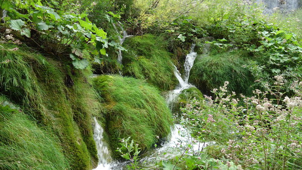 DSC04357_новый размер.JPG (283.38 KiB) Просмотров: 3951 DSC04357_новый размер.JPG