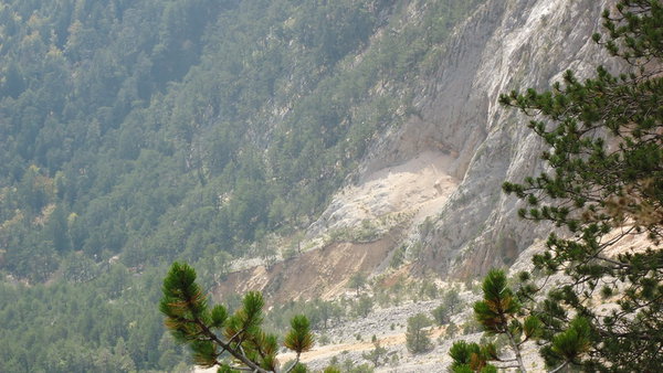 DSC04487_новый размер.JPG (197.29 KiB) Просмотров: 2700 DSC04487_новый размер.JPG