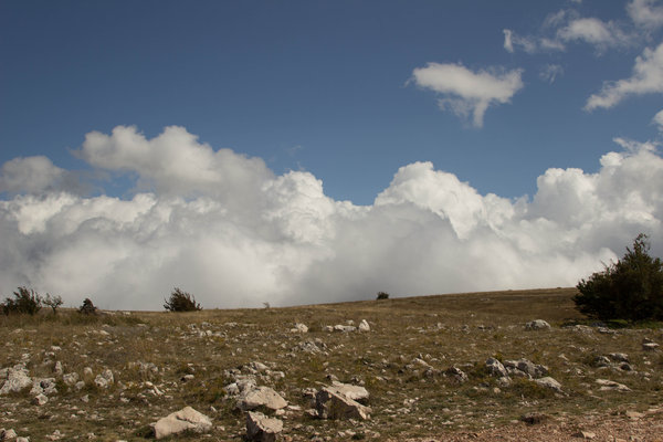 IMG_4106.jpg (1.43 MiB) Просмотров: 8840 IMG_4106.jpg