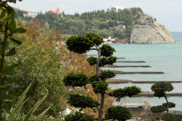 IMG_4286.jpg (1.19 MiB) Просмотров: 8826 IMG_4286.jpg