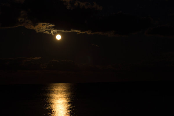 IMG_4315.jpg (521.38 KiB) Просмотров: 8840 IMG_4315.jpg