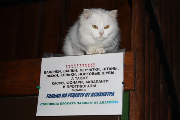 IMG_0100.JPG (2.72 MiB) Просмотров: 1168 IMG_0100.JPG