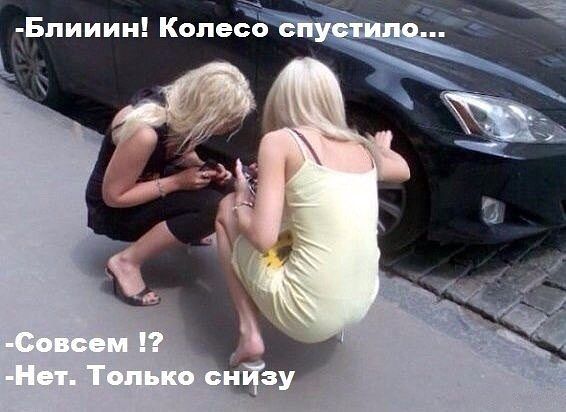 getImage4OYW9W73.jpg