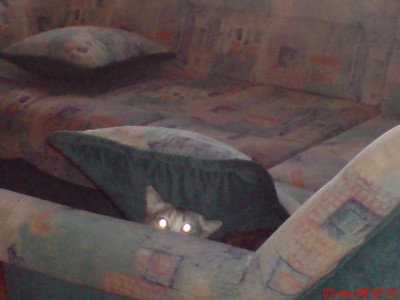 DSC00177.JPG (100.18 KiB) Просмотров: 1535 DSC00177.JPG