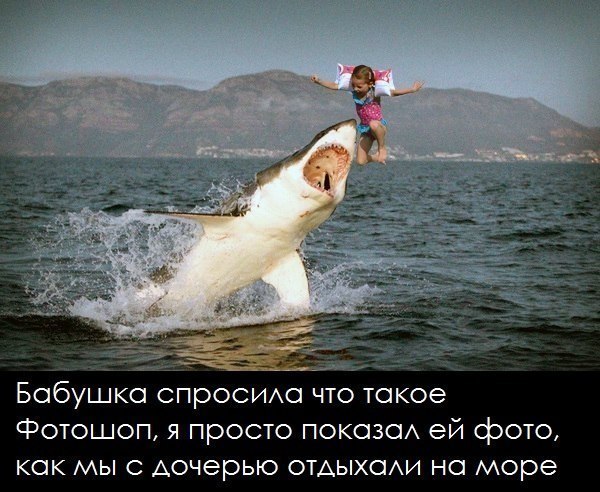 1_9011.jpg