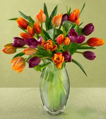 B0056.jpg (31.75 KiB) Просмотров: 2333 B0056.jpg