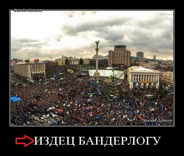 b4d5de65c3d5.jpg