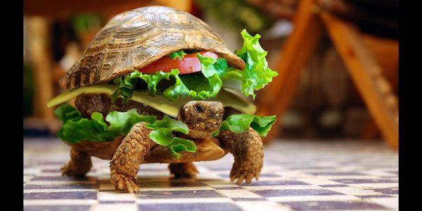 74506.jpg (57.52 KiB) Просмотров: 2310 74506.jpg