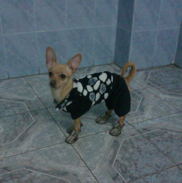 IMAG0300.jpg