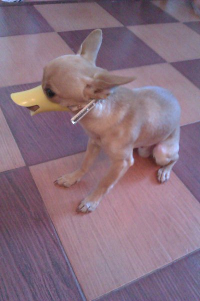 IMAG0310.jpg