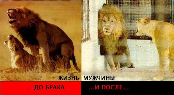 menslife.jpg (64.65 KiB) Просмотров: 1782 menslife.jpg