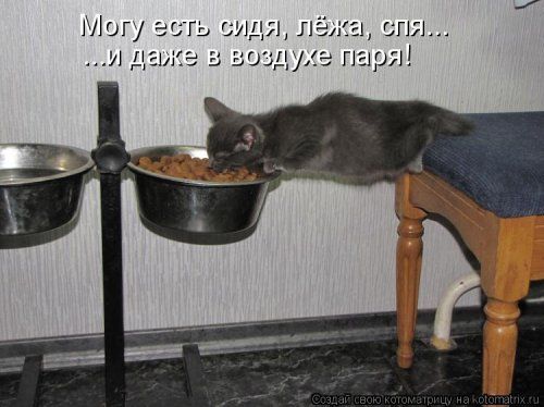 1_36_11.jpg