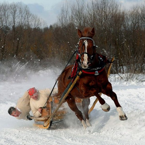 lol_16.jpg (84.75 KiB) Просмотров: 1758 lol_16.jpg