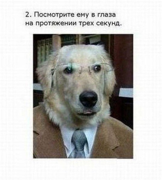 index (1).jpg
