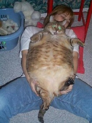 КотБезымянный.JPG