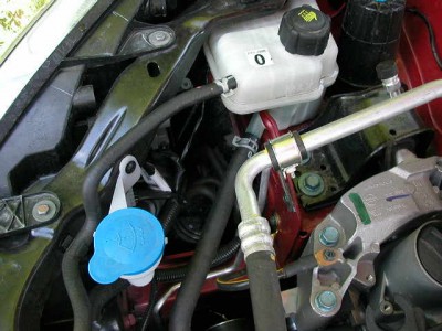 фото -весна  Санкт - Петербург2008 043.jpg
