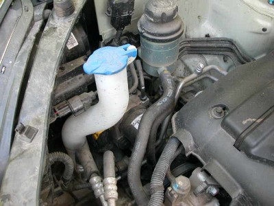 фото -весна  Санкт - Петербург2008 028.jpg