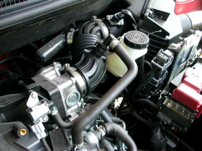 фото -весна  Санкт - Петербург2008 044.jpg