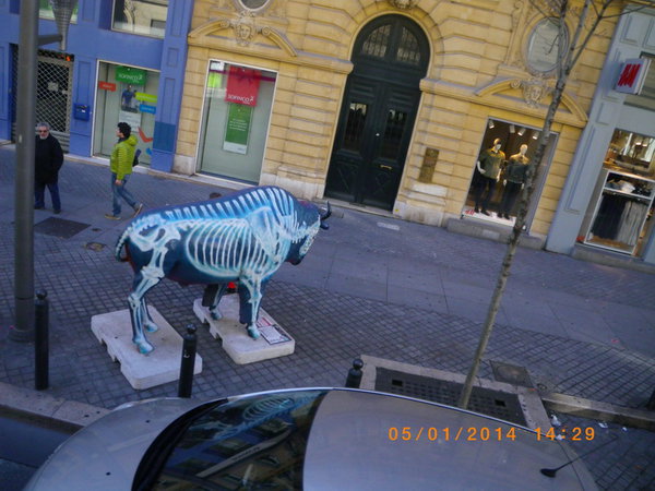 IMGP0964_новый размер.JPG