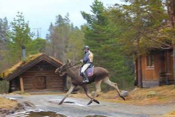 hrjzedas_191.jpg (43.1 KiB) Просмотров: 4297 hrjzedas_191.jpg