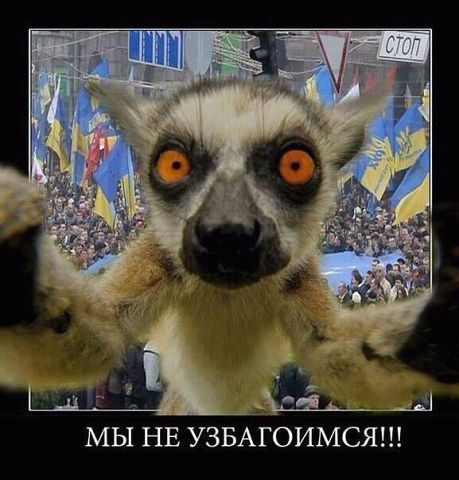getImage (9).jpg