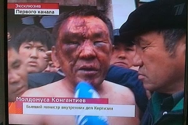морда.jpg