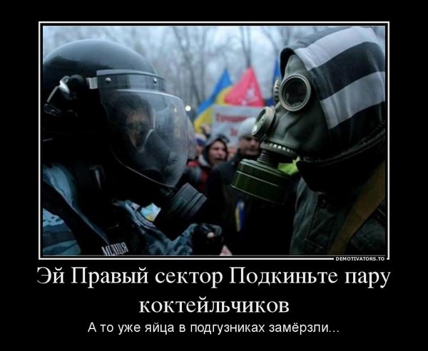 755124_ej-pravyij-sektor-podkinte-paru-koktejlchikov_demotivators_to.jpg
