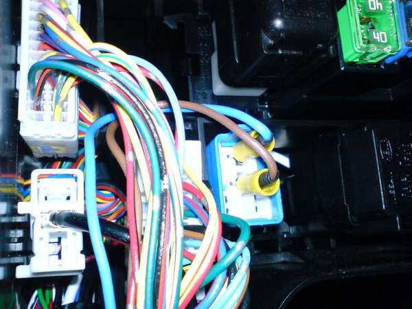 DSC00055.JPG (299.38 KiB) Просмотров: 5542 DSC00055.JPG