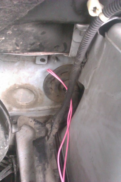 IMAG0385.jpg