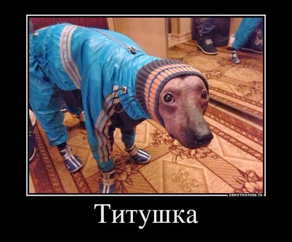 getImage[1].jpg