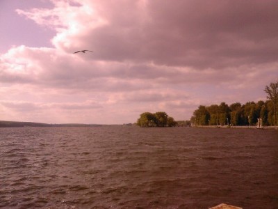 SP_A0096_1.jpg